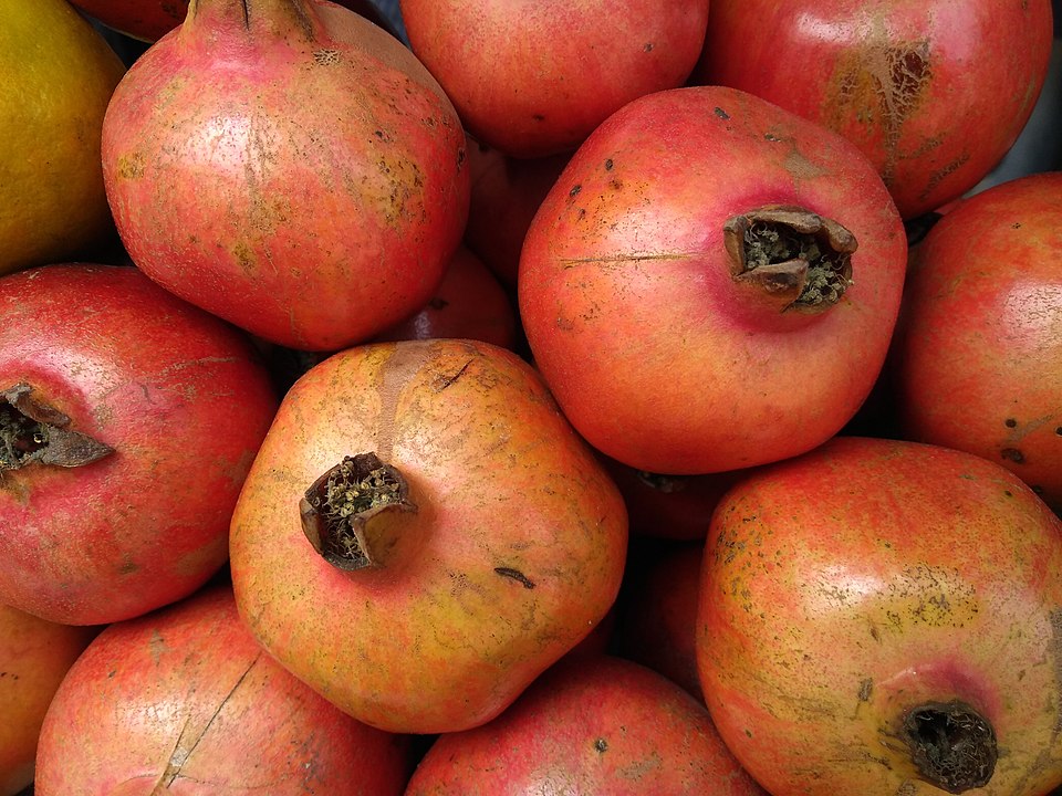 Harvesting Pomegrantes