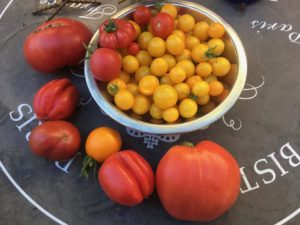 Egg Yolk Tomato