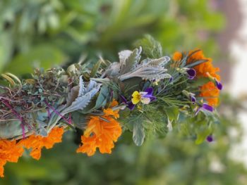 Making Smudge Sticks From Backyard Plants