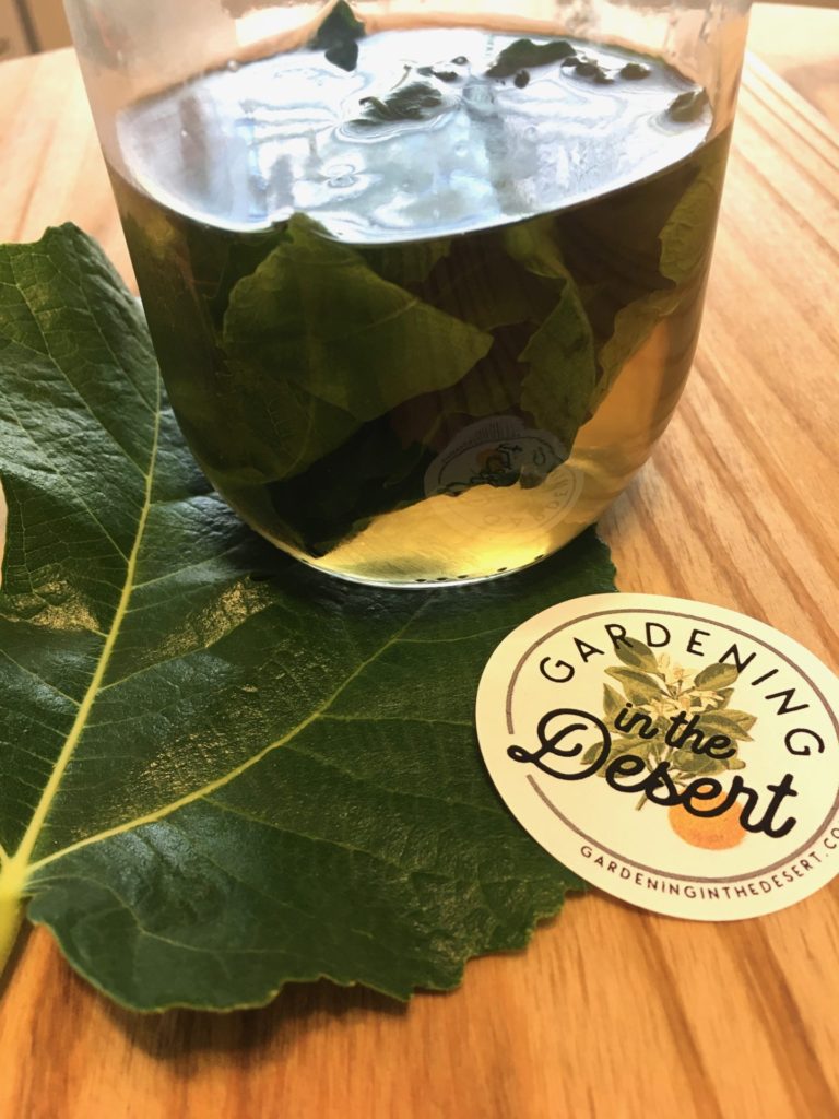 Fig Leaf Syrup