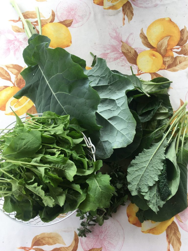 Leafy Greens from the Garden