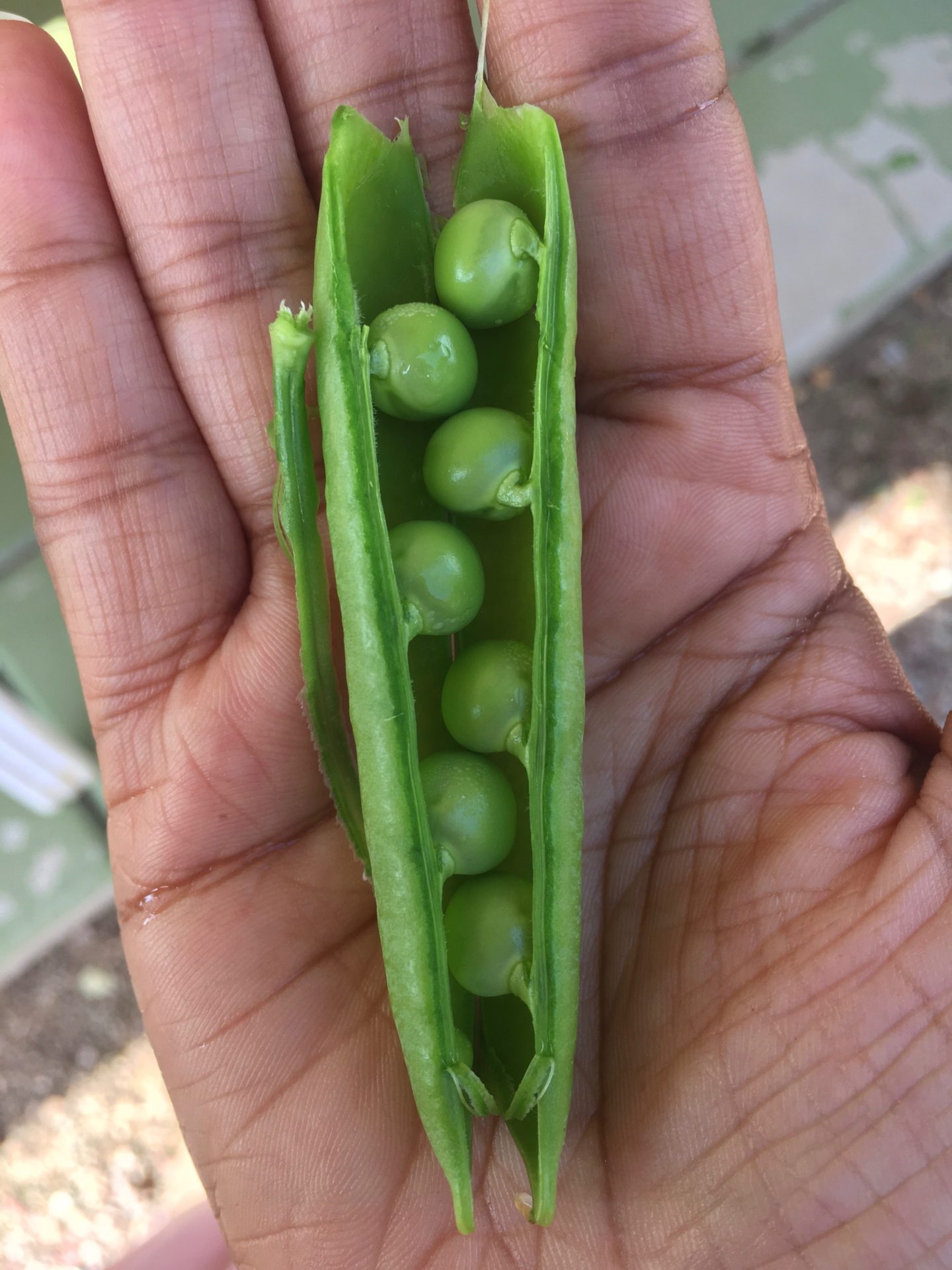 English Peas