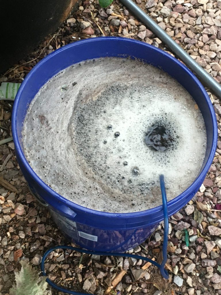 Compost Tea