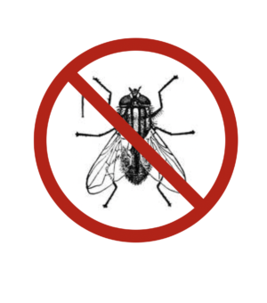 Fly Parasites