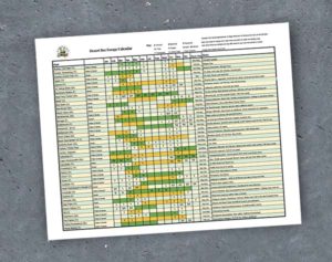 Low Desert Bee Forage Planting Calendar - INSTANT DOWNLOAD