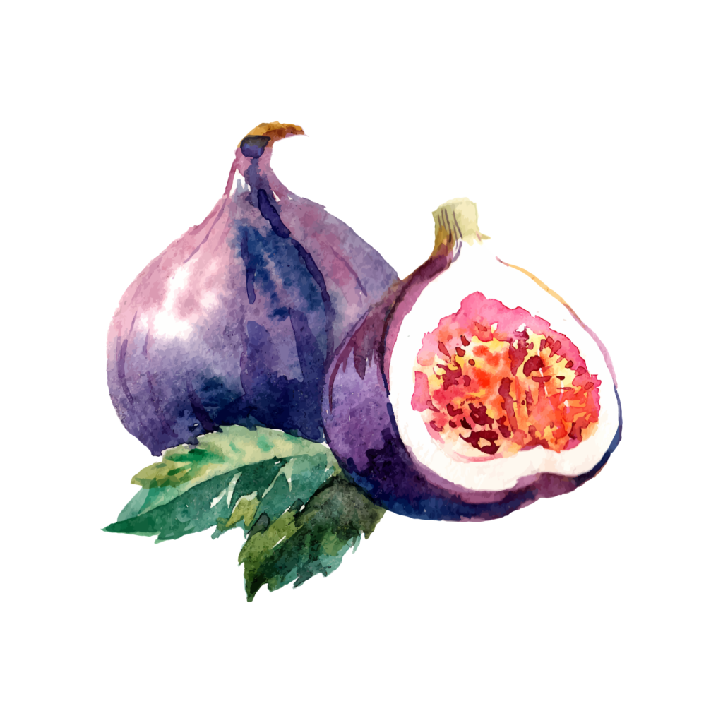 fig