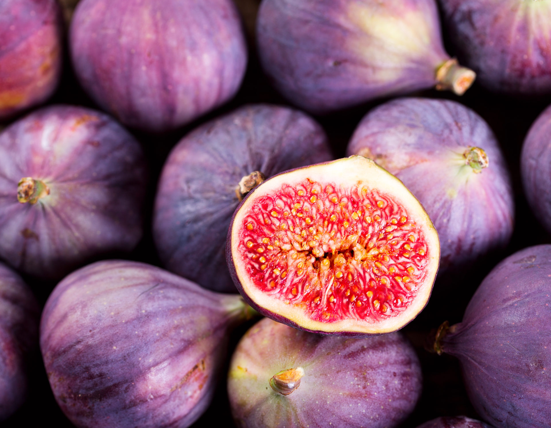 How To Grow Fig Trees In The Desert Gardening In The Desert How To Grow Fig Trees In The Desert Gardening In The Desert