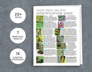 Desert Insect Identification Guide + Control Strategies INSTANT DOWNLOAD